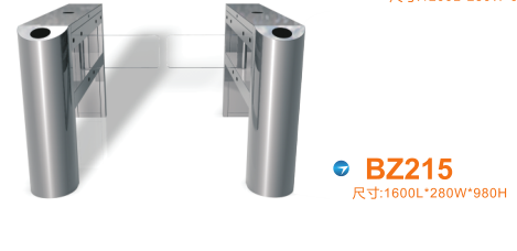 绥化摆闸BZ215
